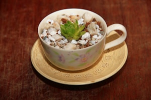 Teacup Violet Garden DIY