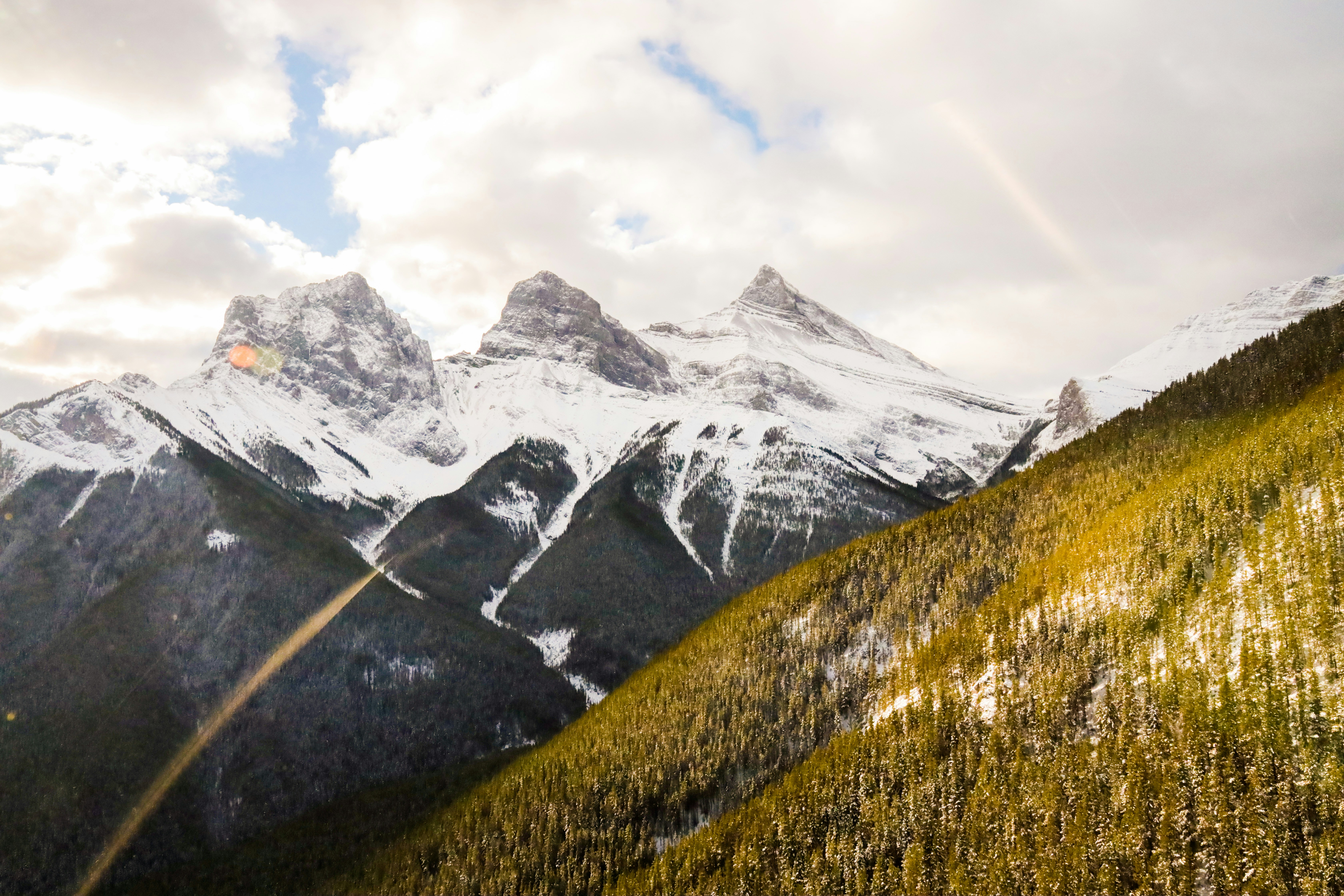 arbres verts sur la montagne sous les nuages blancs pendant la journée