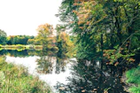 A serene lake surrounded by autumn trees in Japan.