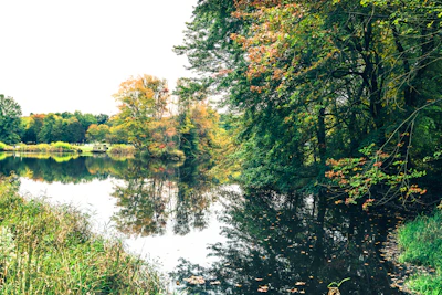 A serene lake surrounded by autumn trees, reflecting the calm of nature.