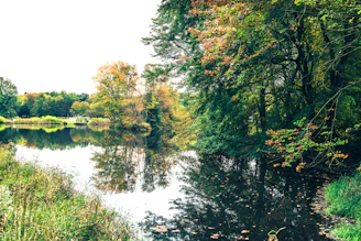 A serene lake surrounded by autumn trees, reflecting the calm of nature.