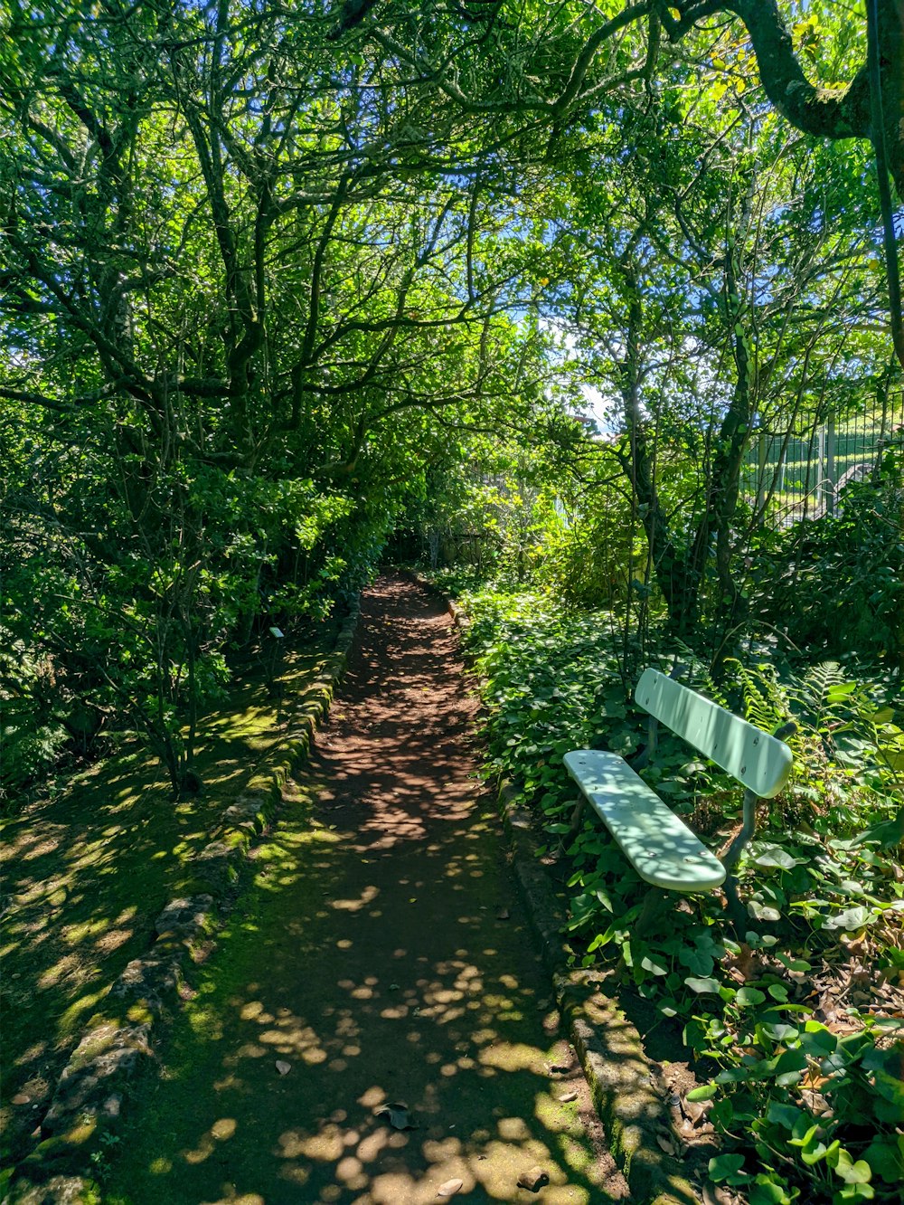 brown wooden bench surrounded by green trees during daytime