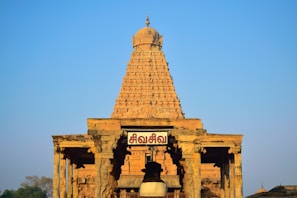 Ancient Dravidian temple carvings glowing in the warm sunlight of Madurai