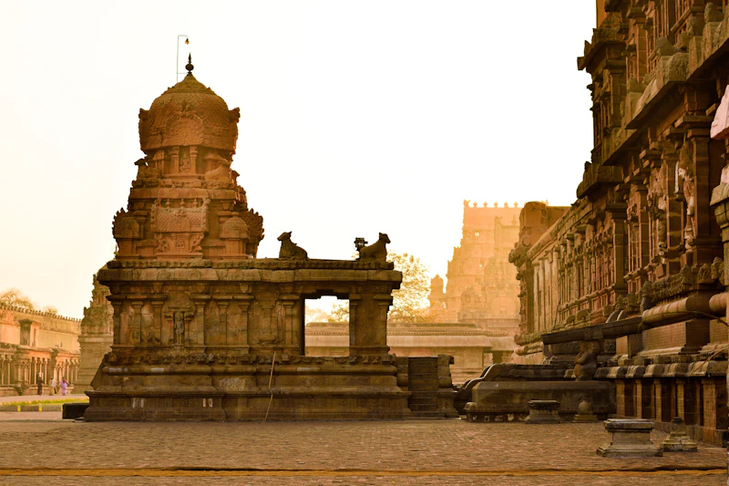 Best Outdoor Seating Restaurants in Thanjavur for Dining Under Open Skies