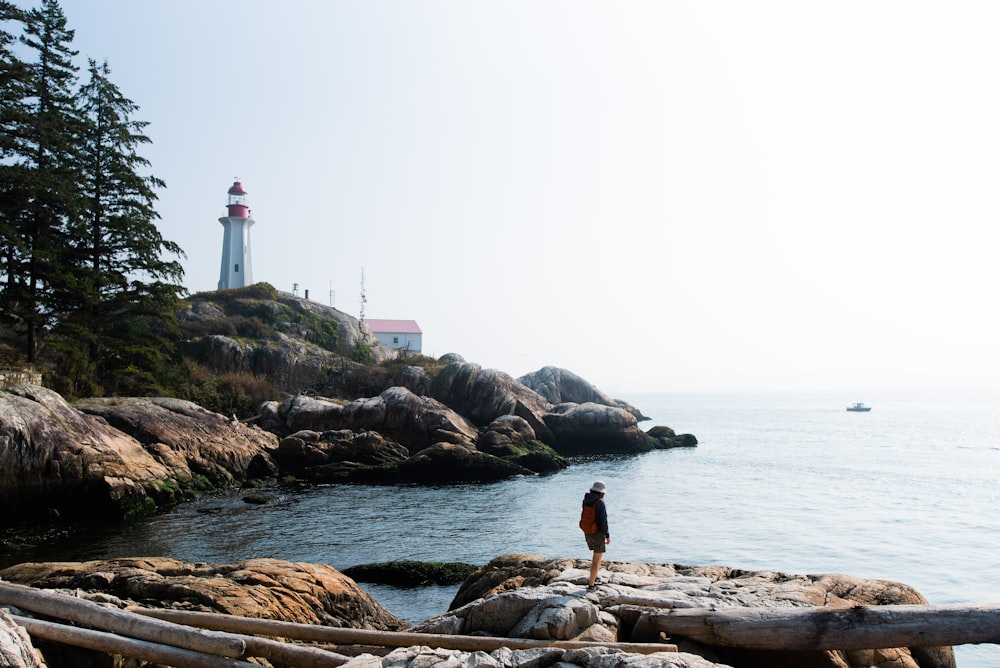 person standing on brown rock near body of water during daytime