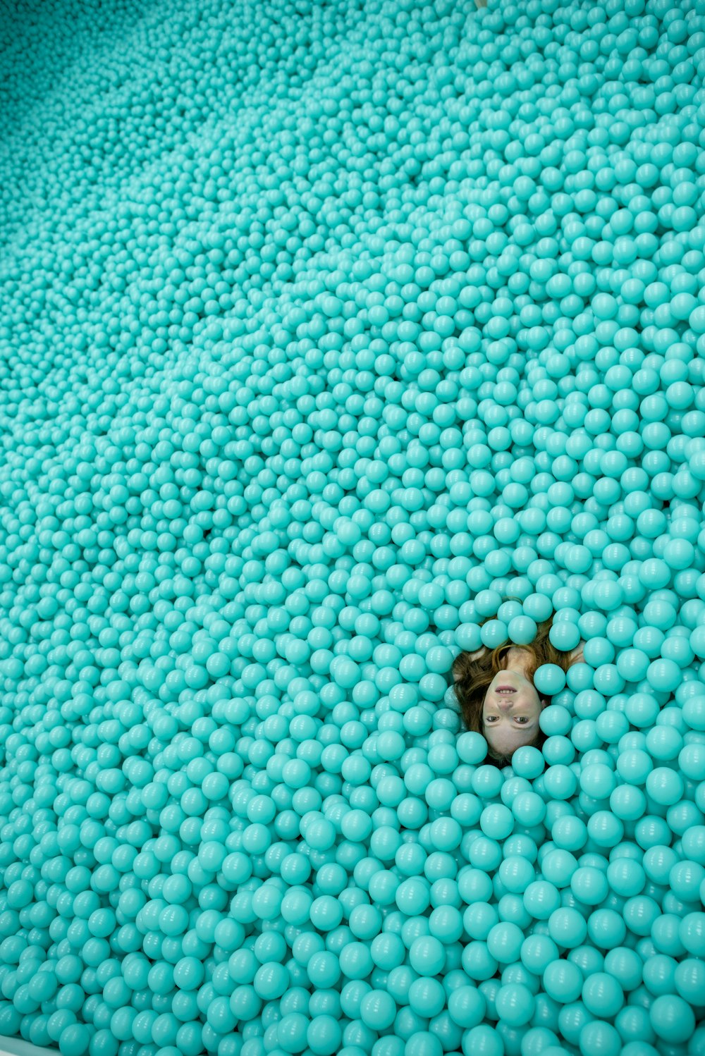 brown frog on blue and white pebbles