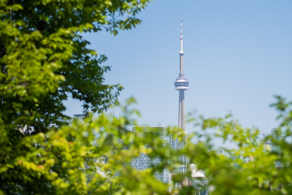 white tower surrounded by green trees during daytime