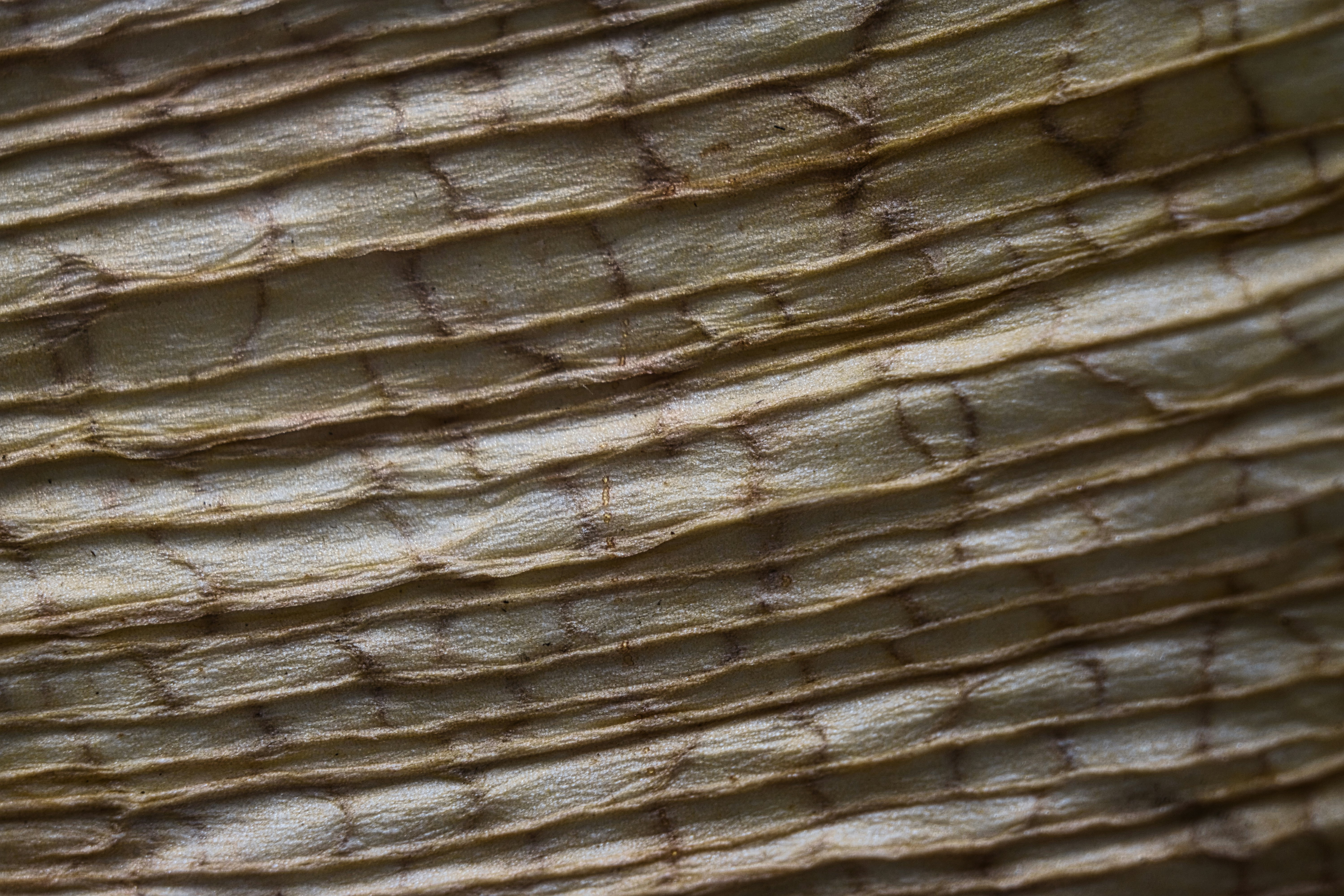 Photo by thomaskinto