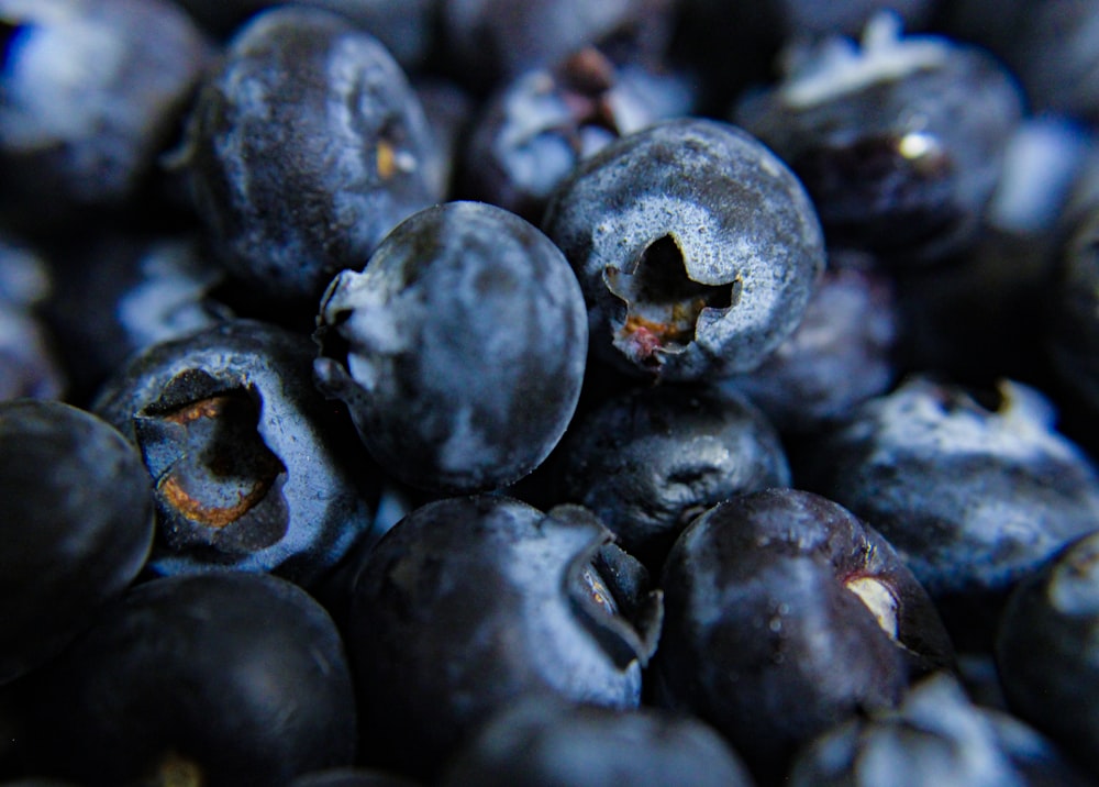 black round fruits in macro shot