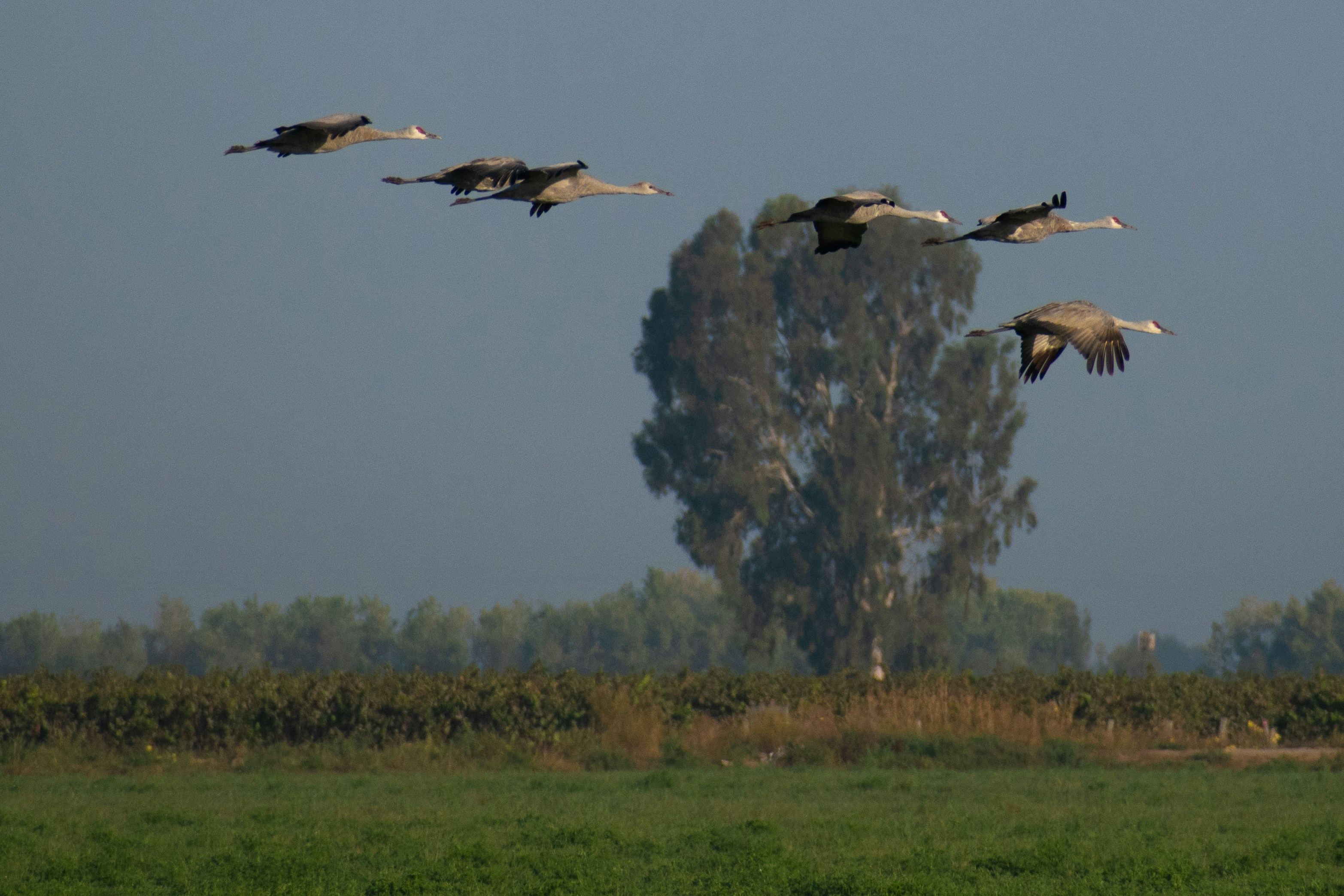 Photo by elisastonephotography