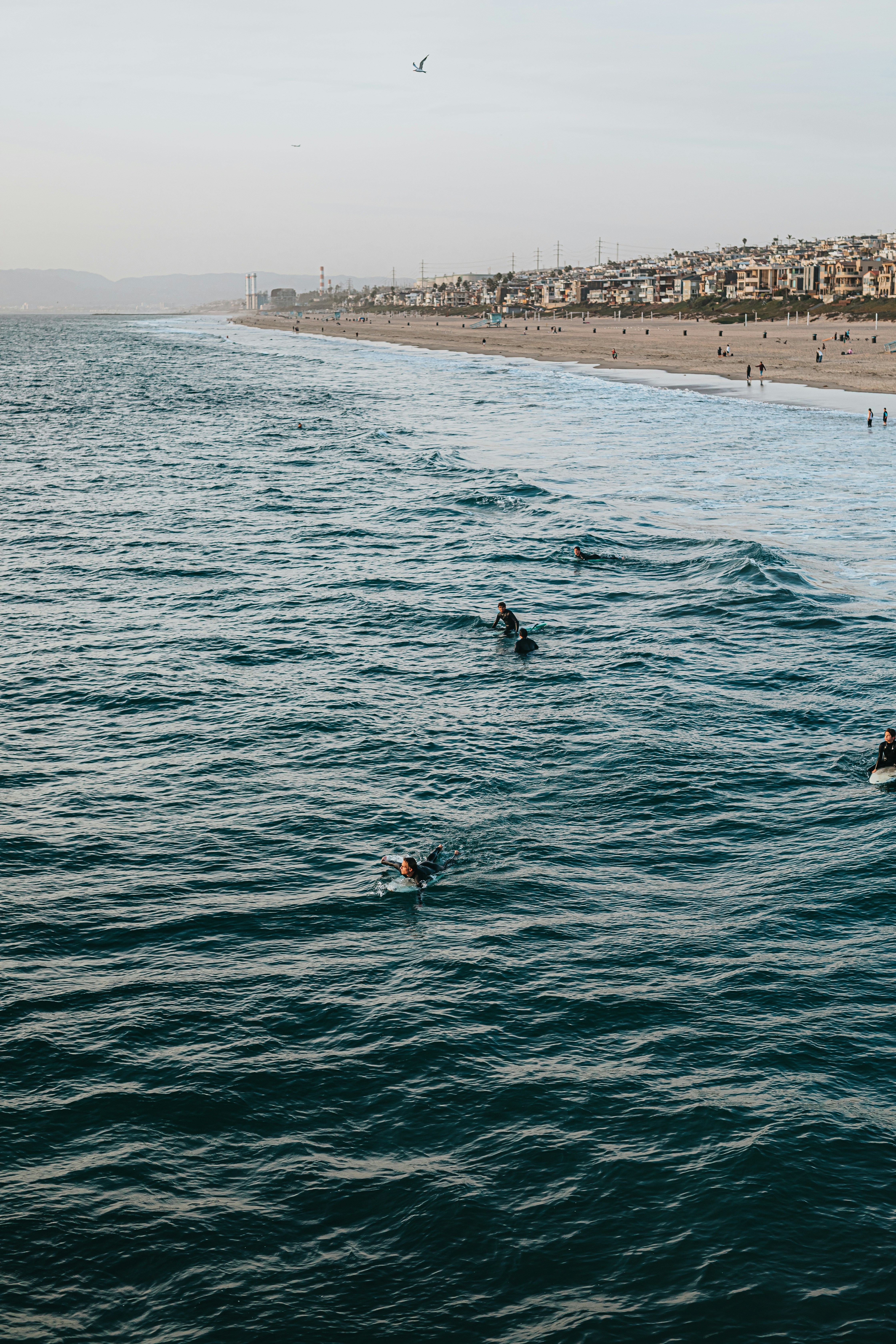 Photo by donovan_valdivia