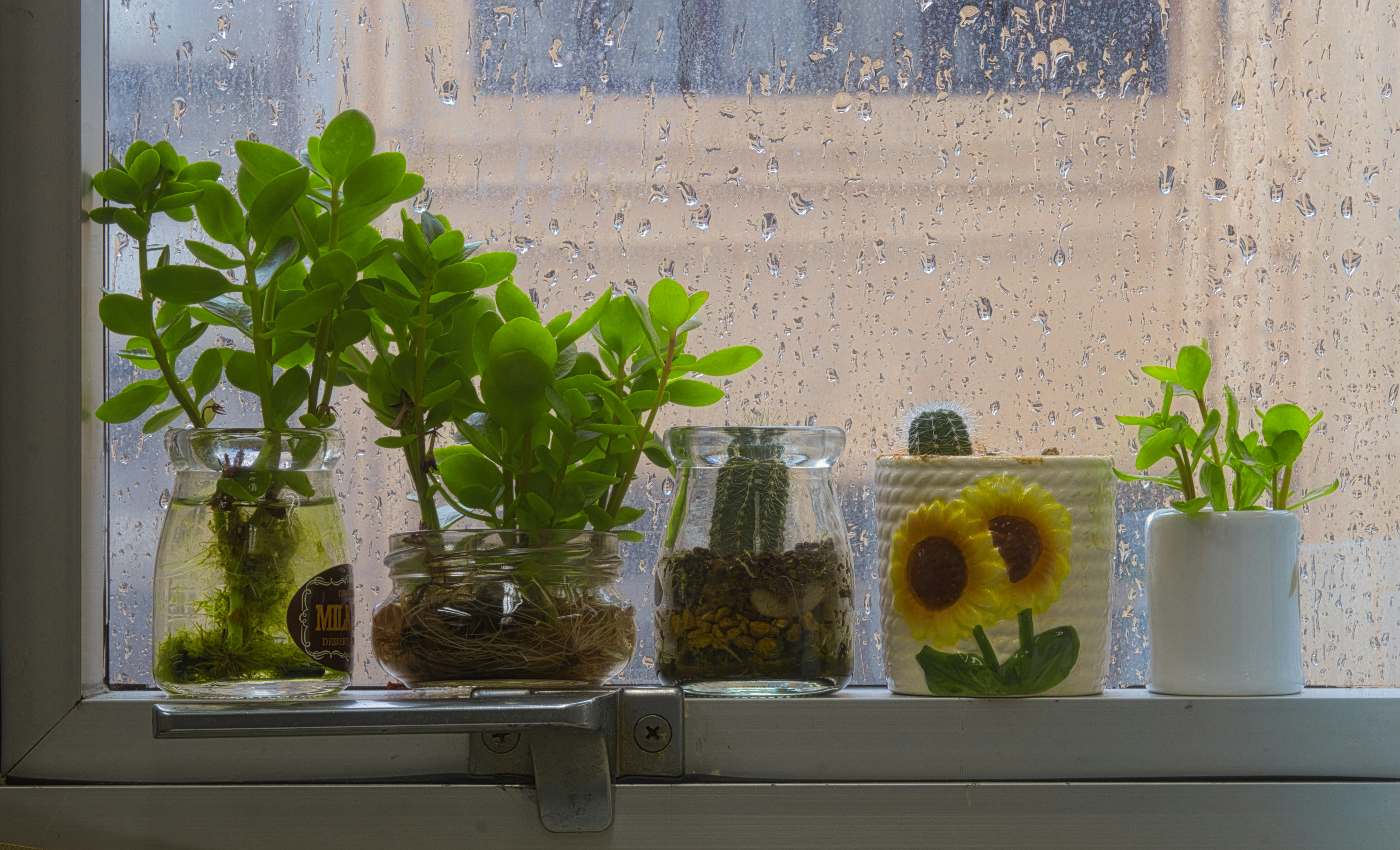 Photo by thomaskinto