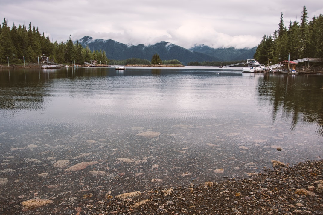 body of water near green trees under cloudy sky during daytime