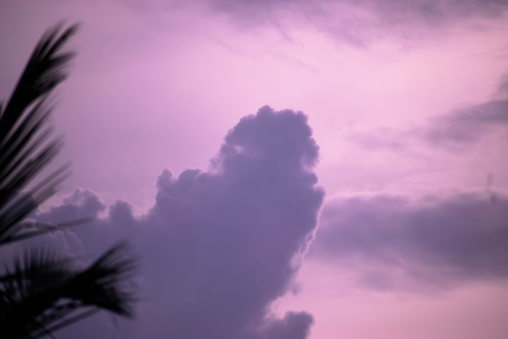 white clouds and blue sky