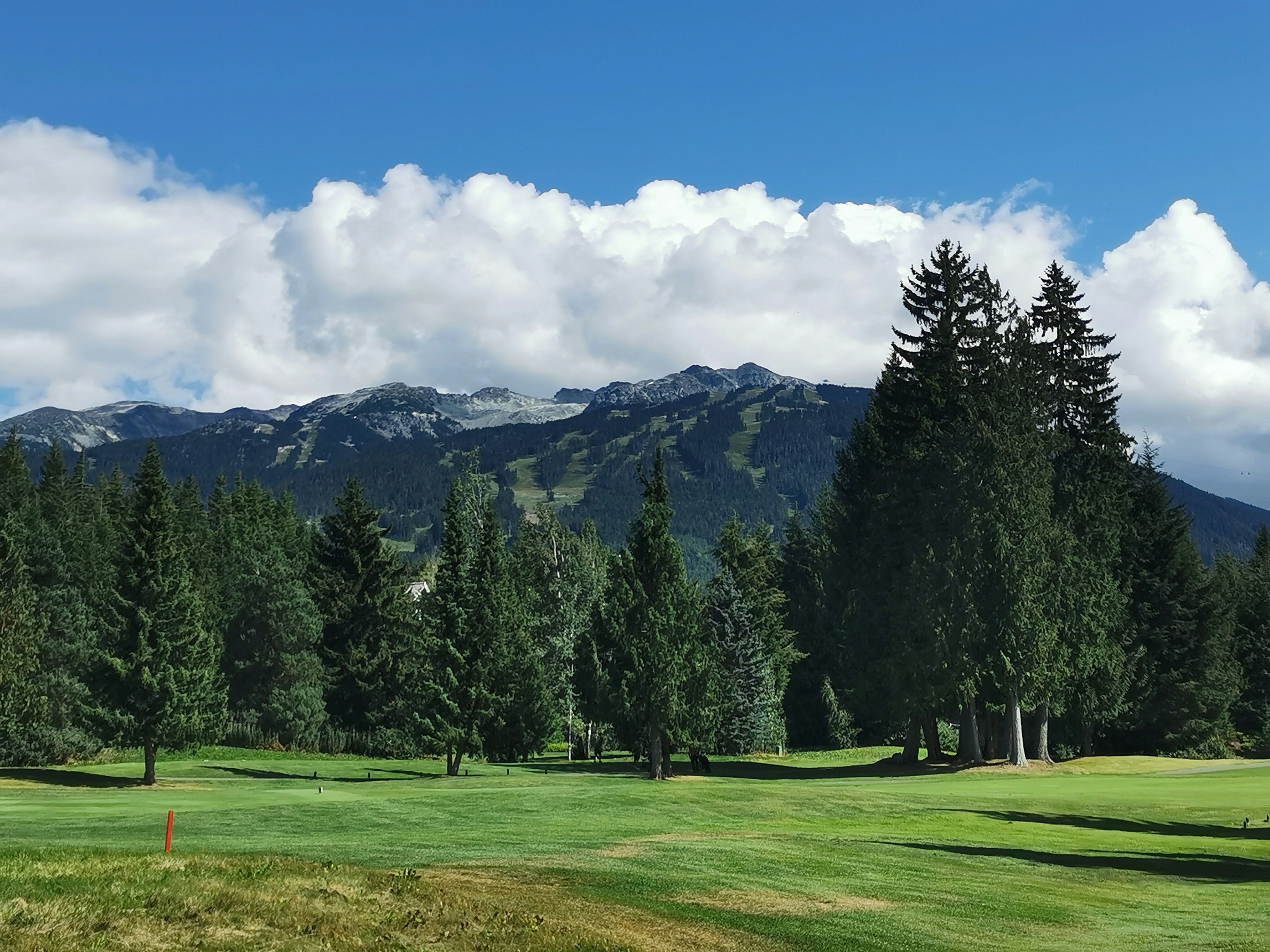 Photo by gracethegrass