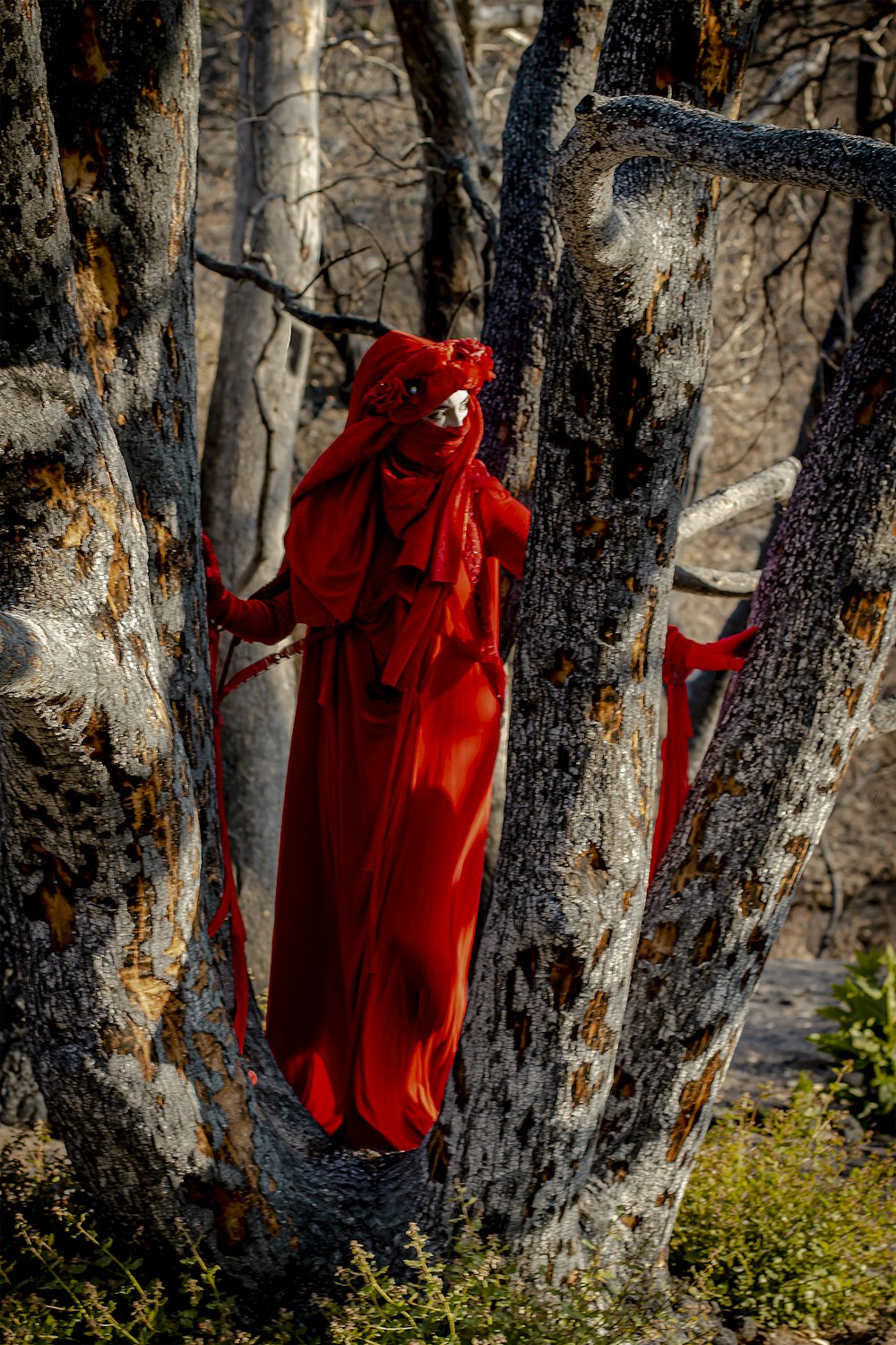 woman in red dress standing beside brown tree