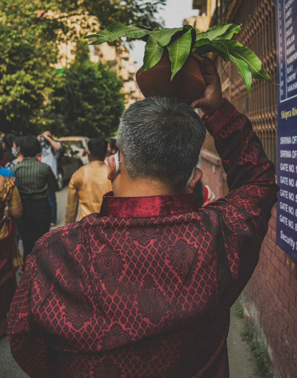 man in red and blue long sleeve shirt holding green leaf during daytime
