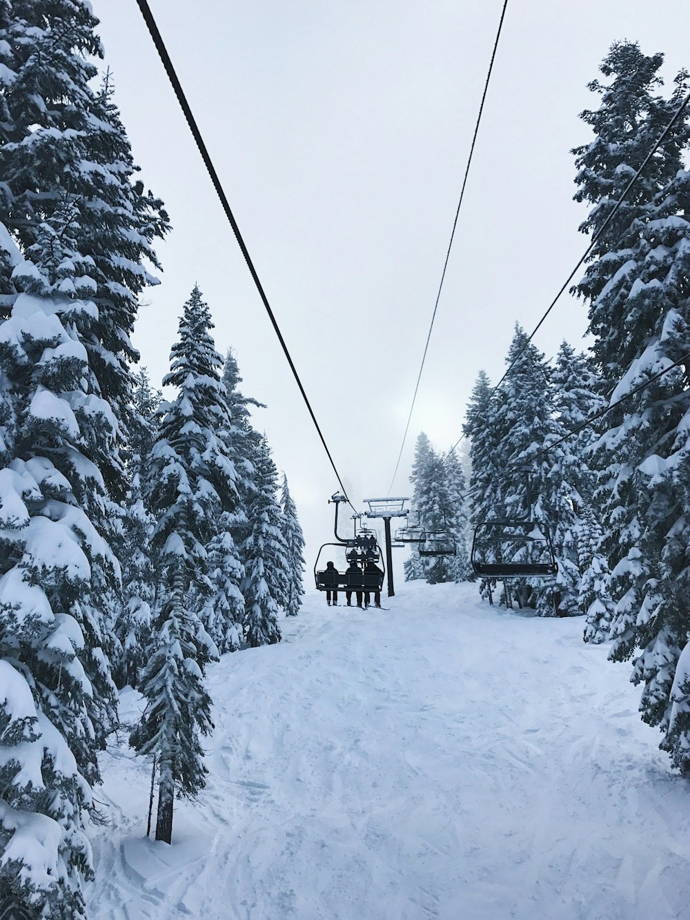 black cable car on snow covered pine trees