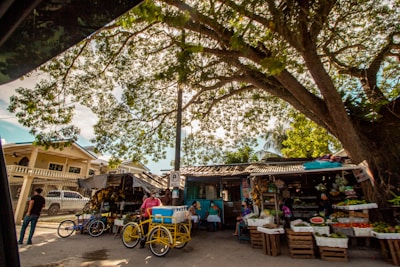 A small roadside market is shaded by a large tree with dense green foliage. Various fruits and vegetables are displayed in wooden crates and baskets. There are several bicycles with attached carts, likely used for transporting goods. A few people are visible, one standing near a bicycle and others sitting or attending to the stalls. Nearby, a residential building is partially visible behind a fence.