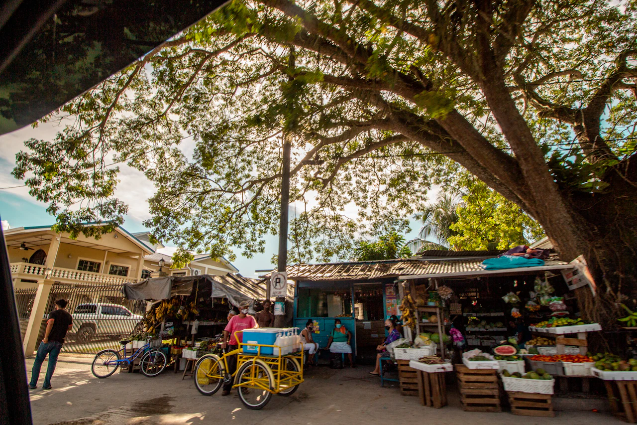 Fruit and vegetable stalls under a big shade tree, with people, bicycles and delivery tricycles in front.