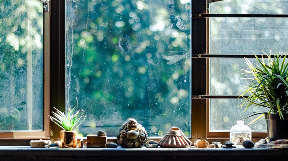 green plant on brown wooden table