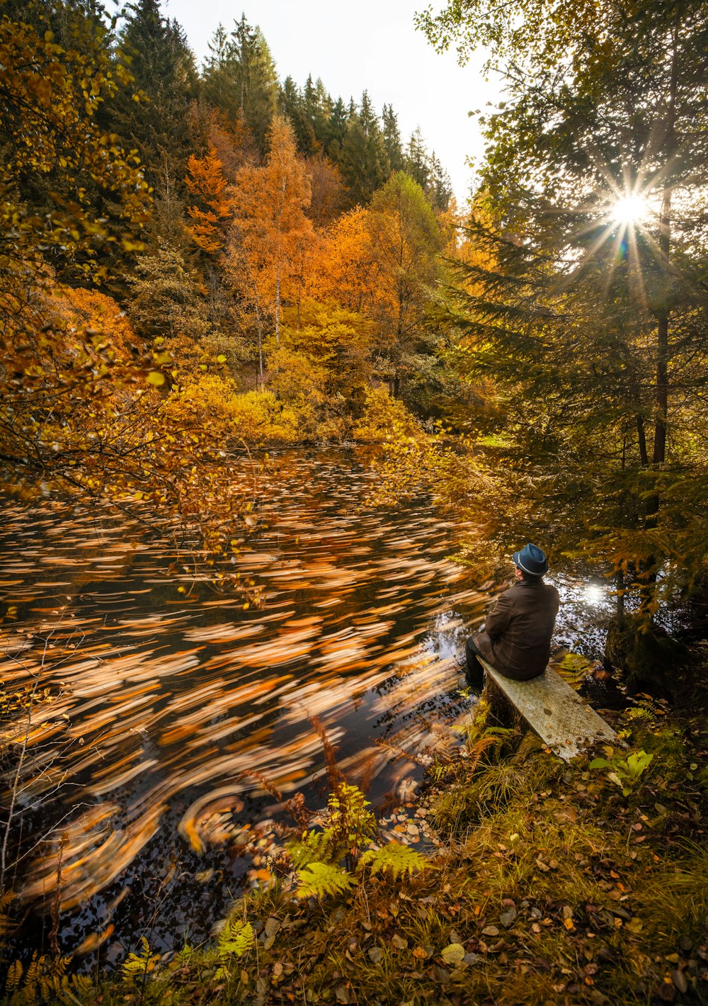 person in blue jacket and blue denim jeans sitting on brown wooden log in front of near near near near