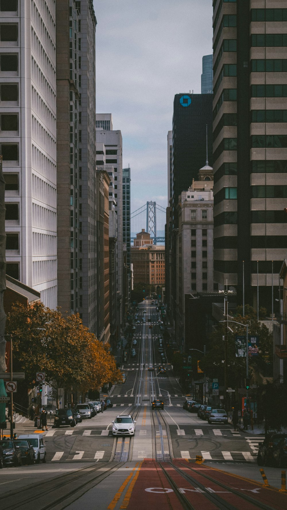 cars on road between high rise buildings during daytime