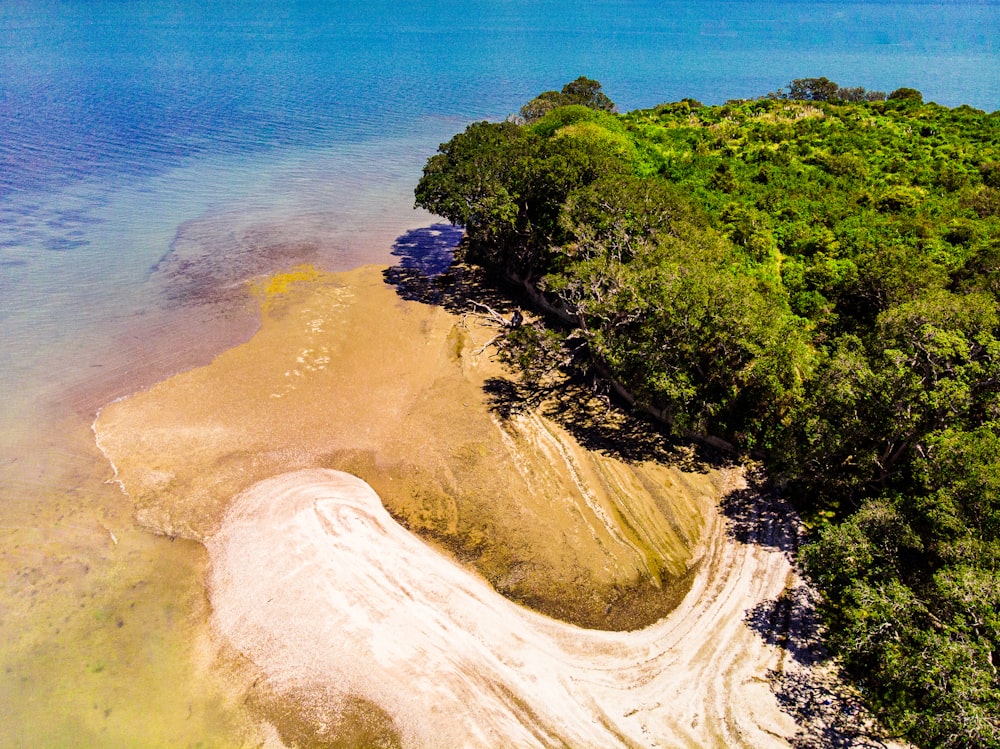 green trees on brown sand near blue sea during daytime