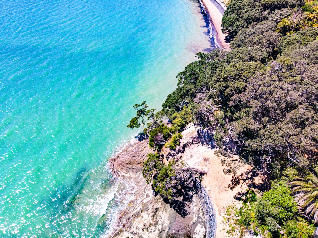 aerial view of green trees on cliff by the sea during daytime