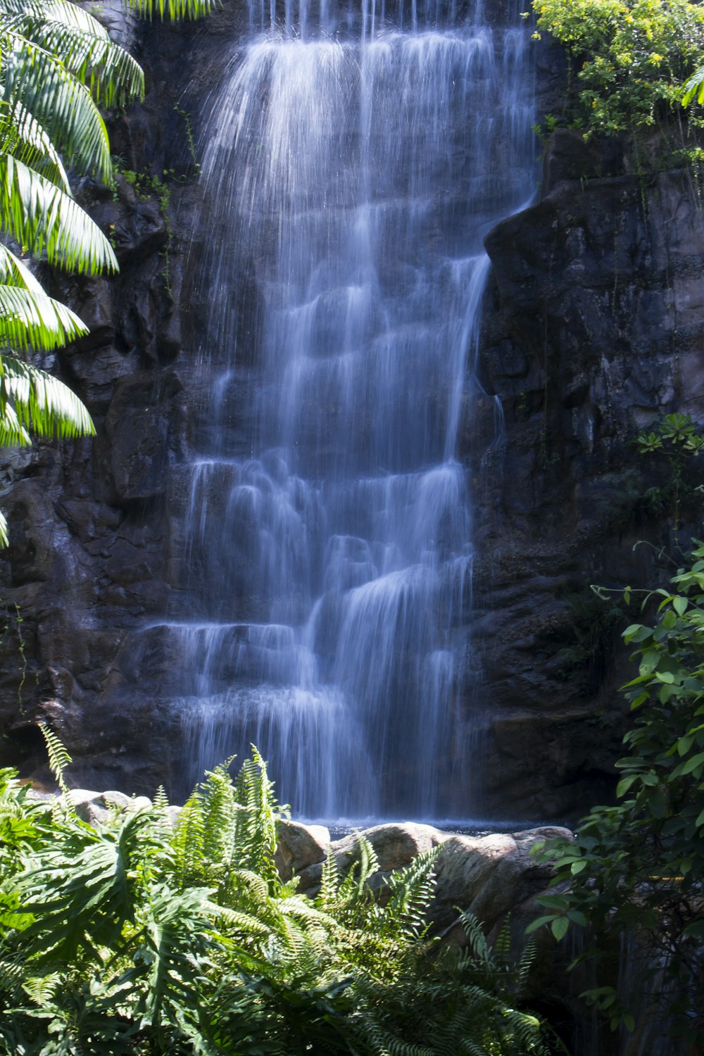 water falls in the middle of the forest