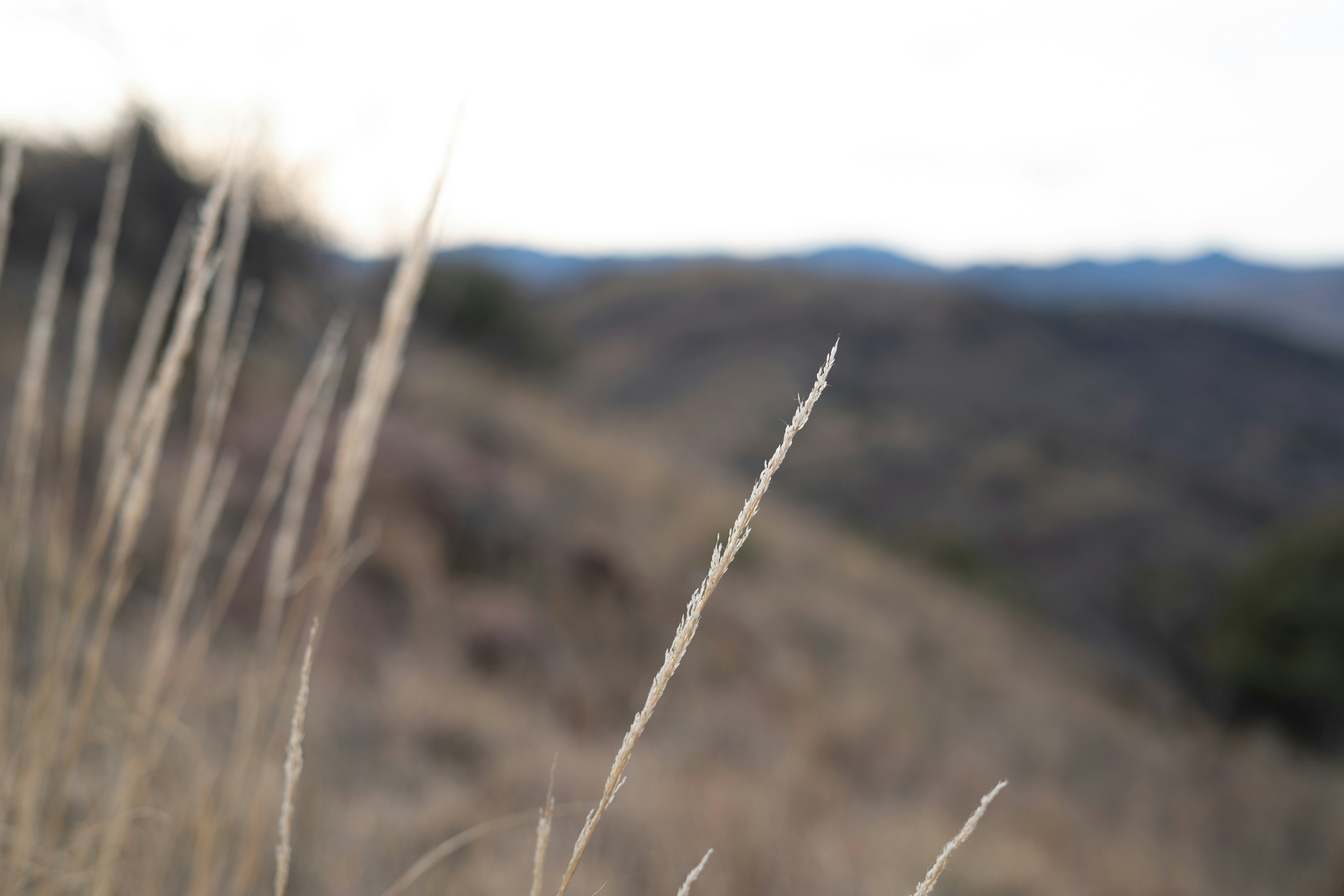 Photo by lucaskphoto