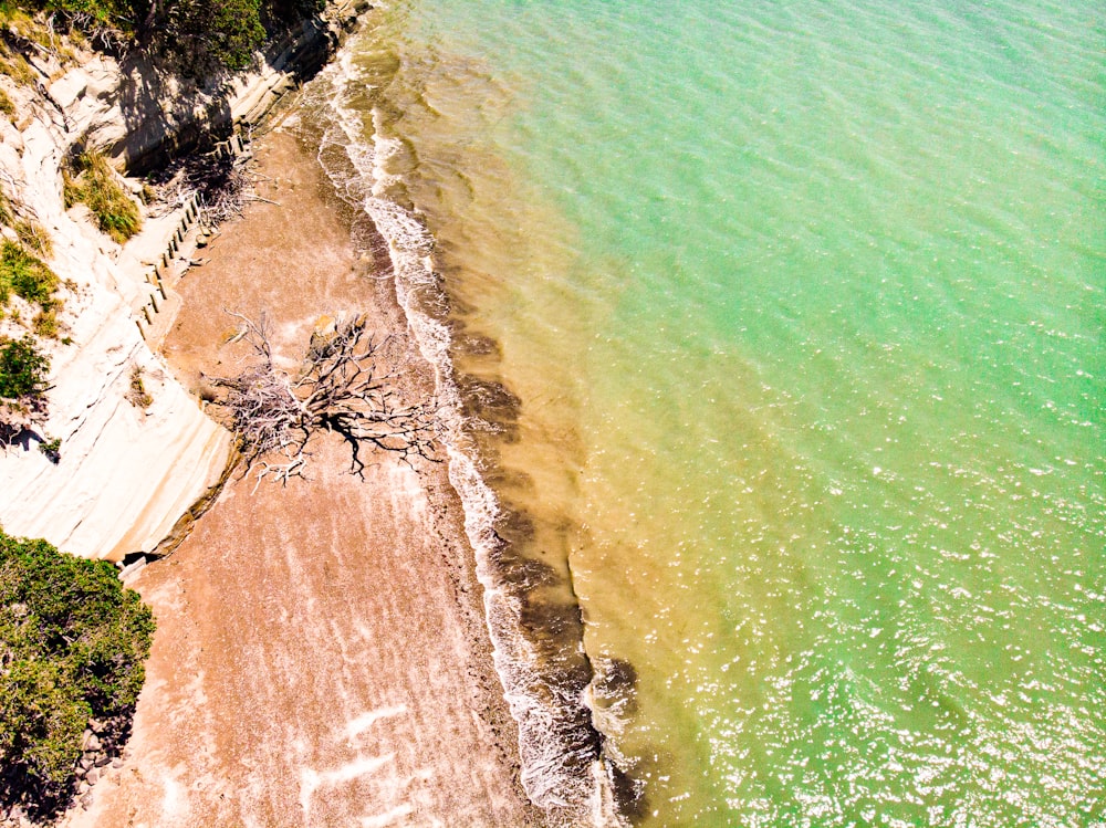 aerial view of beach during daytime