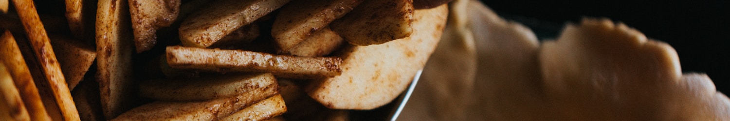 person holding brown fried food