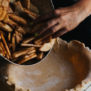 person holding brown fried food