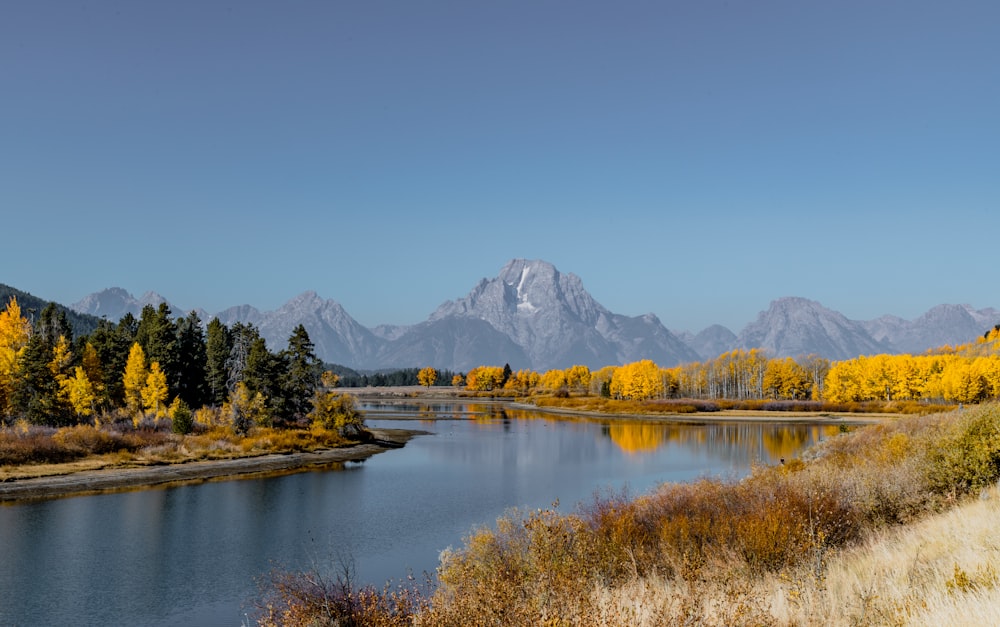 green trees near lake and mountains during daytime