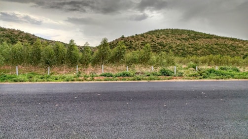 Image showing rural land with official property boundary markers