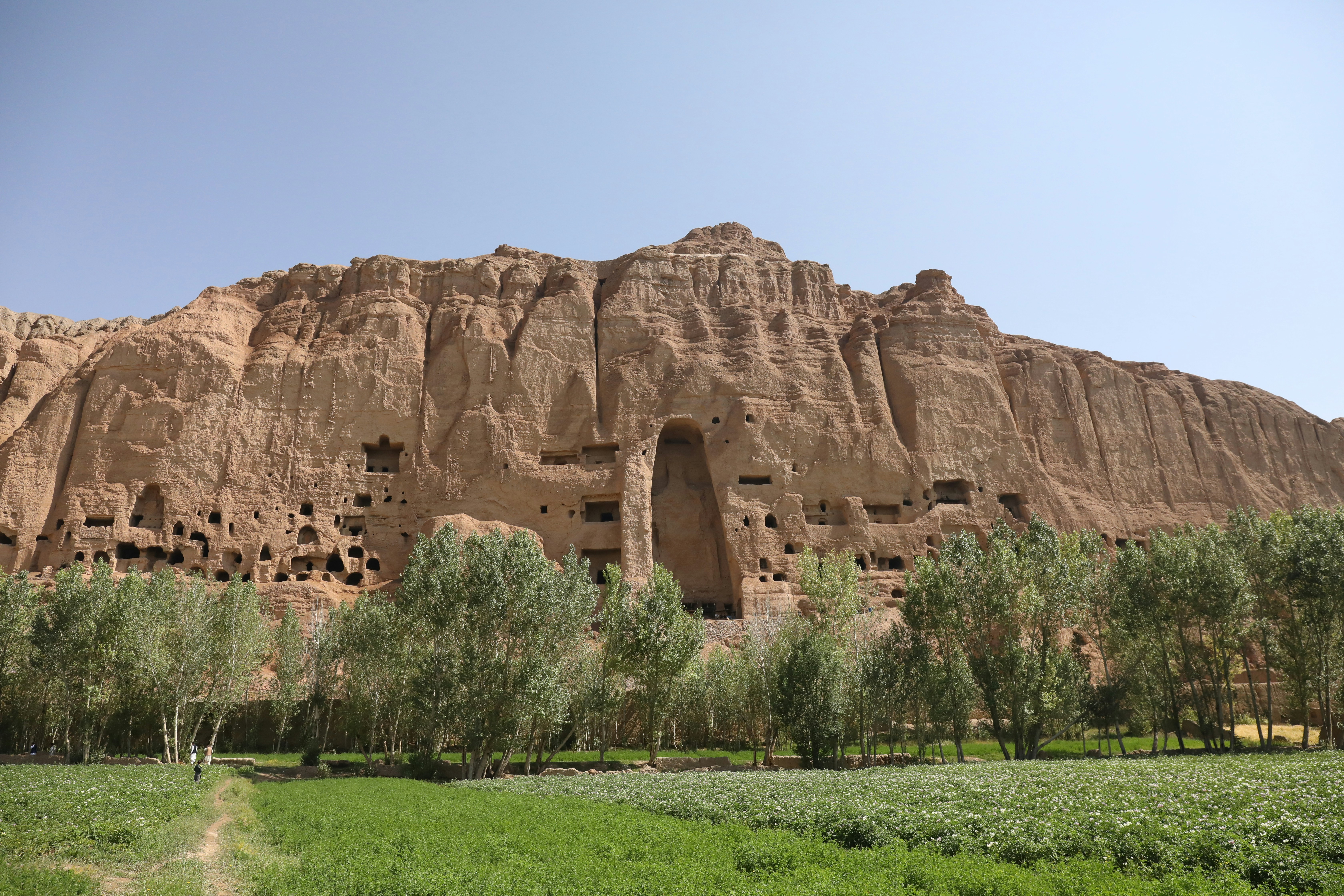 brown rock formation near green trees during daytime afghanistan teams background