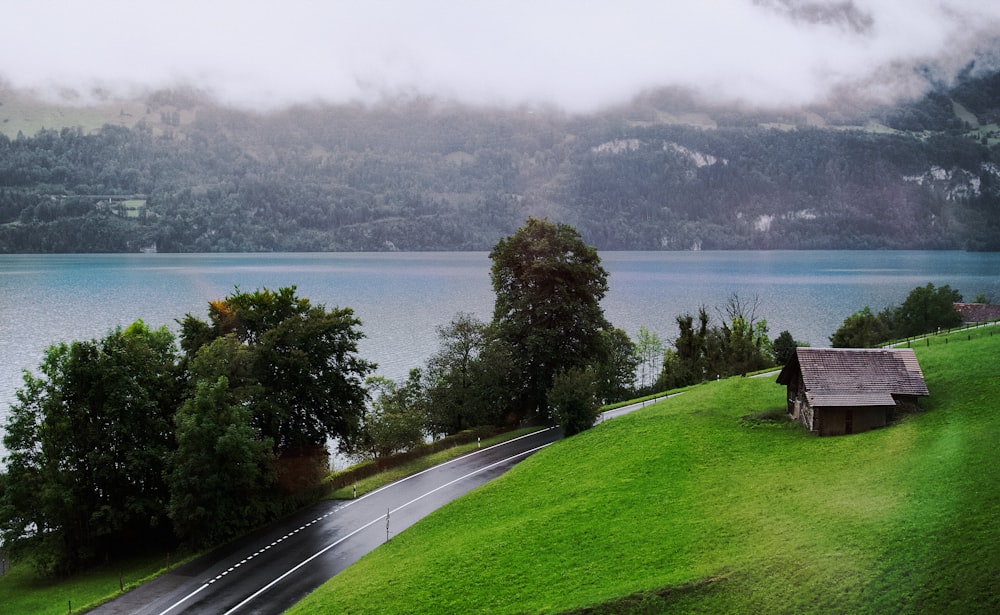 green grass field near body of water during daytime