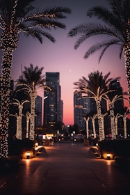 city buildings with lights turned on during night time