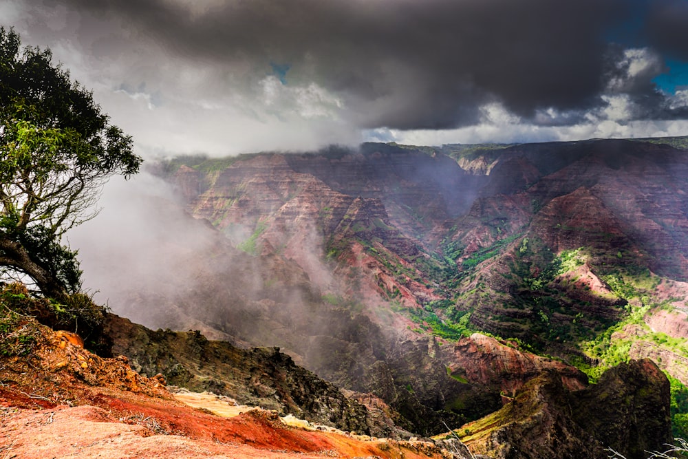 árboles verdes en la montaña marrón bajo nubes grises