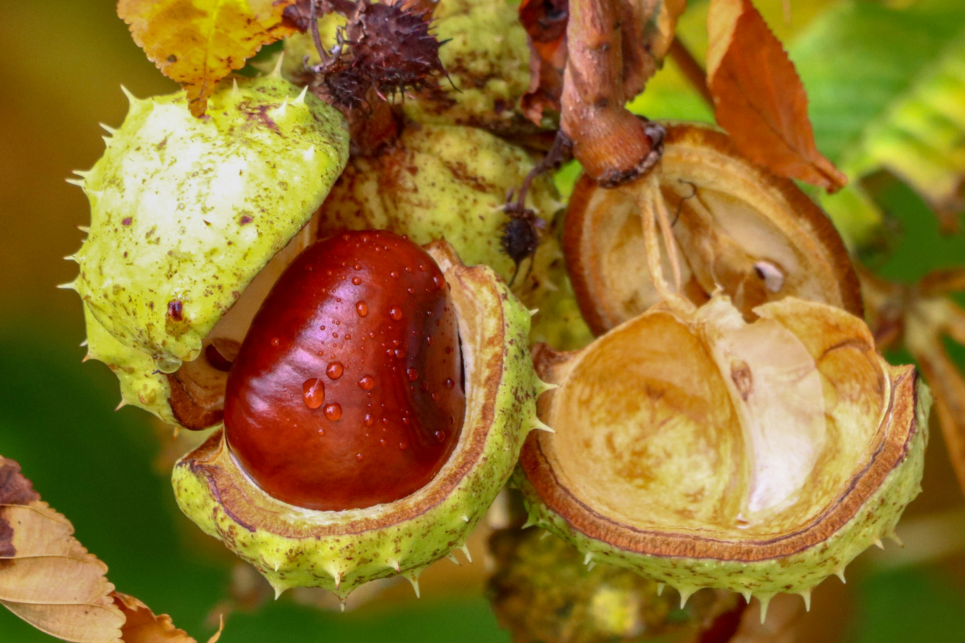 Photo by andreas_martan