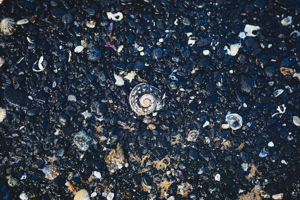 silver round coin on gray and black stone