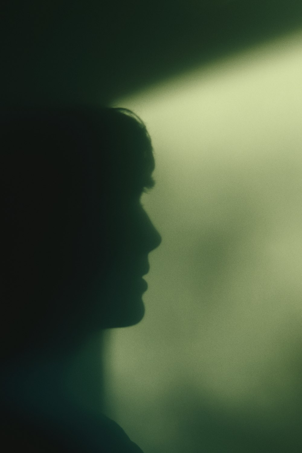 silhouette of womans face
