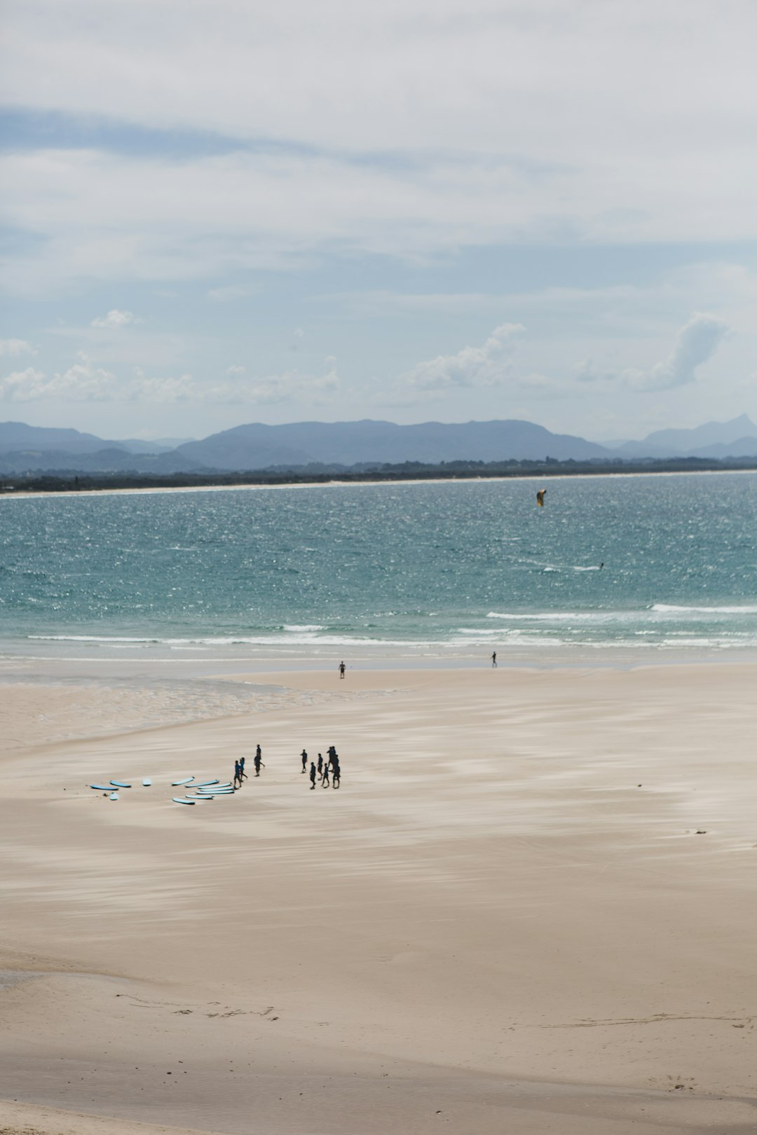 people on beach during daytime