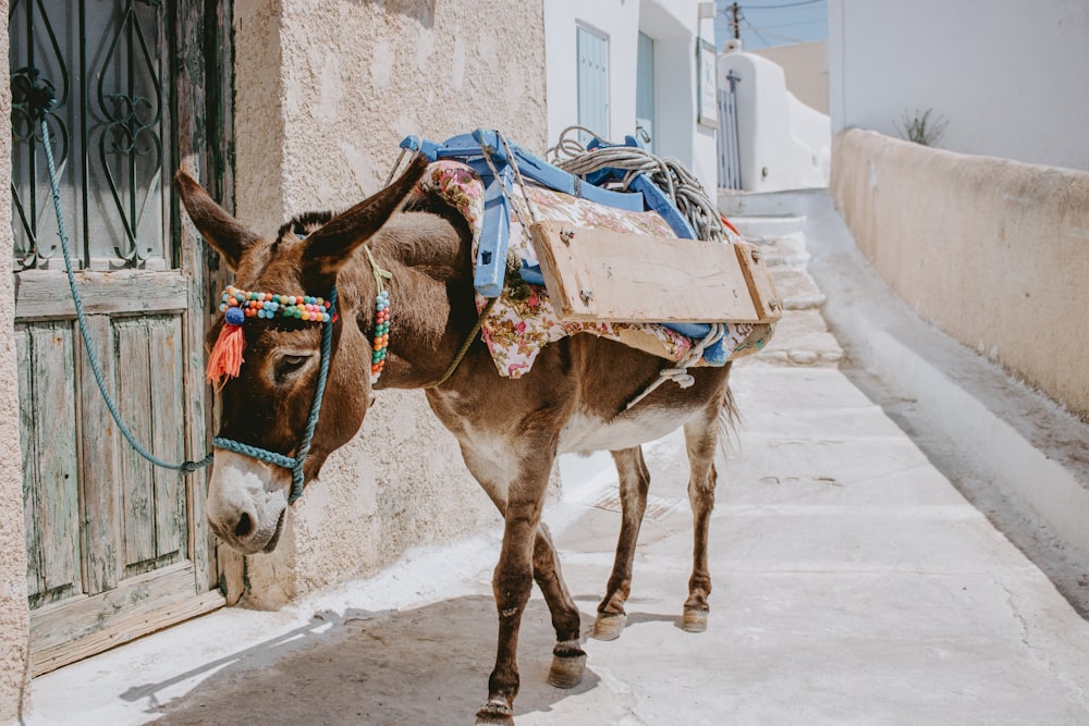 cheval brun avec calèche blanche et rouge dans la rue