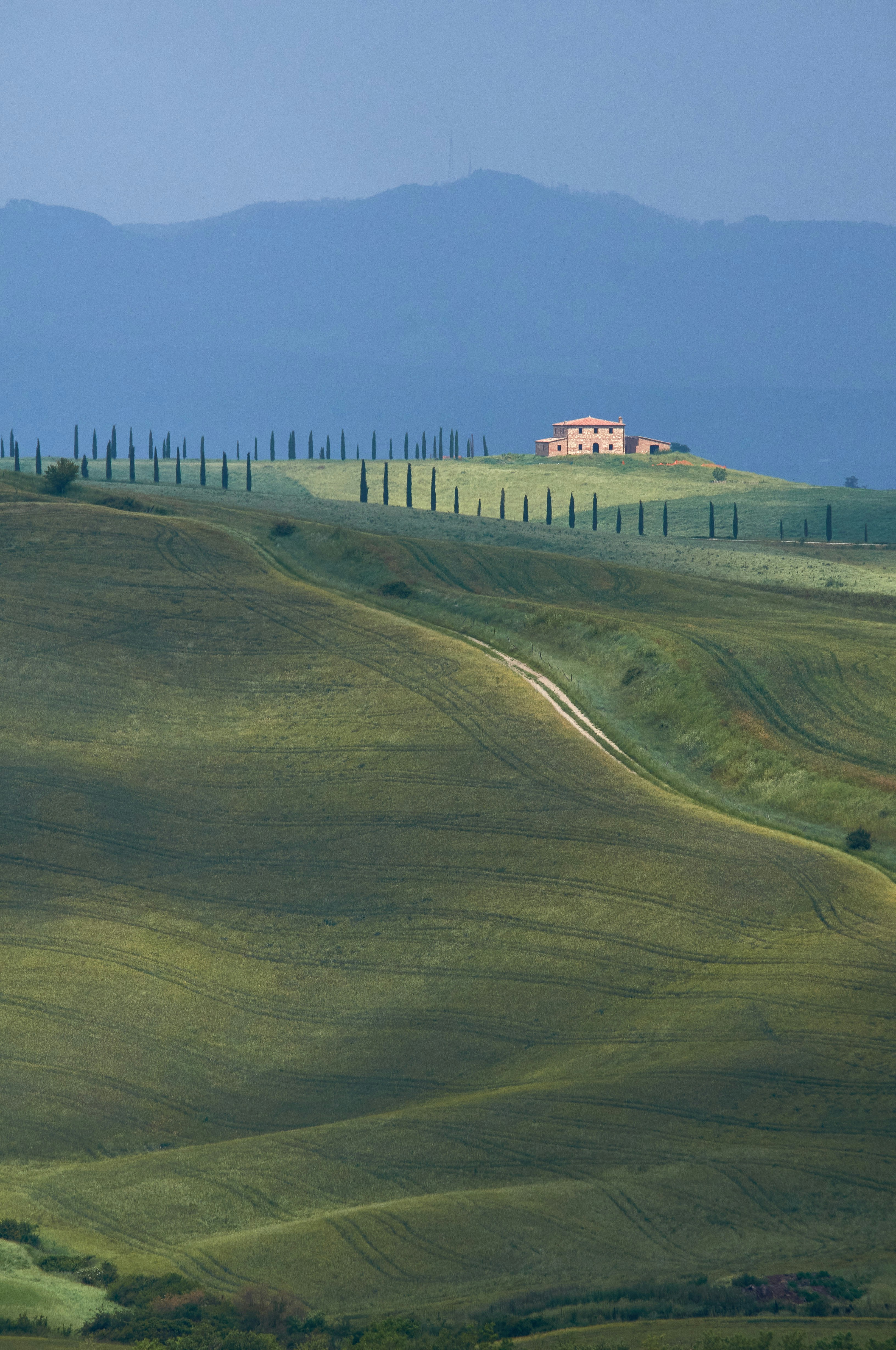 Photo by wolfgang_hasselmann