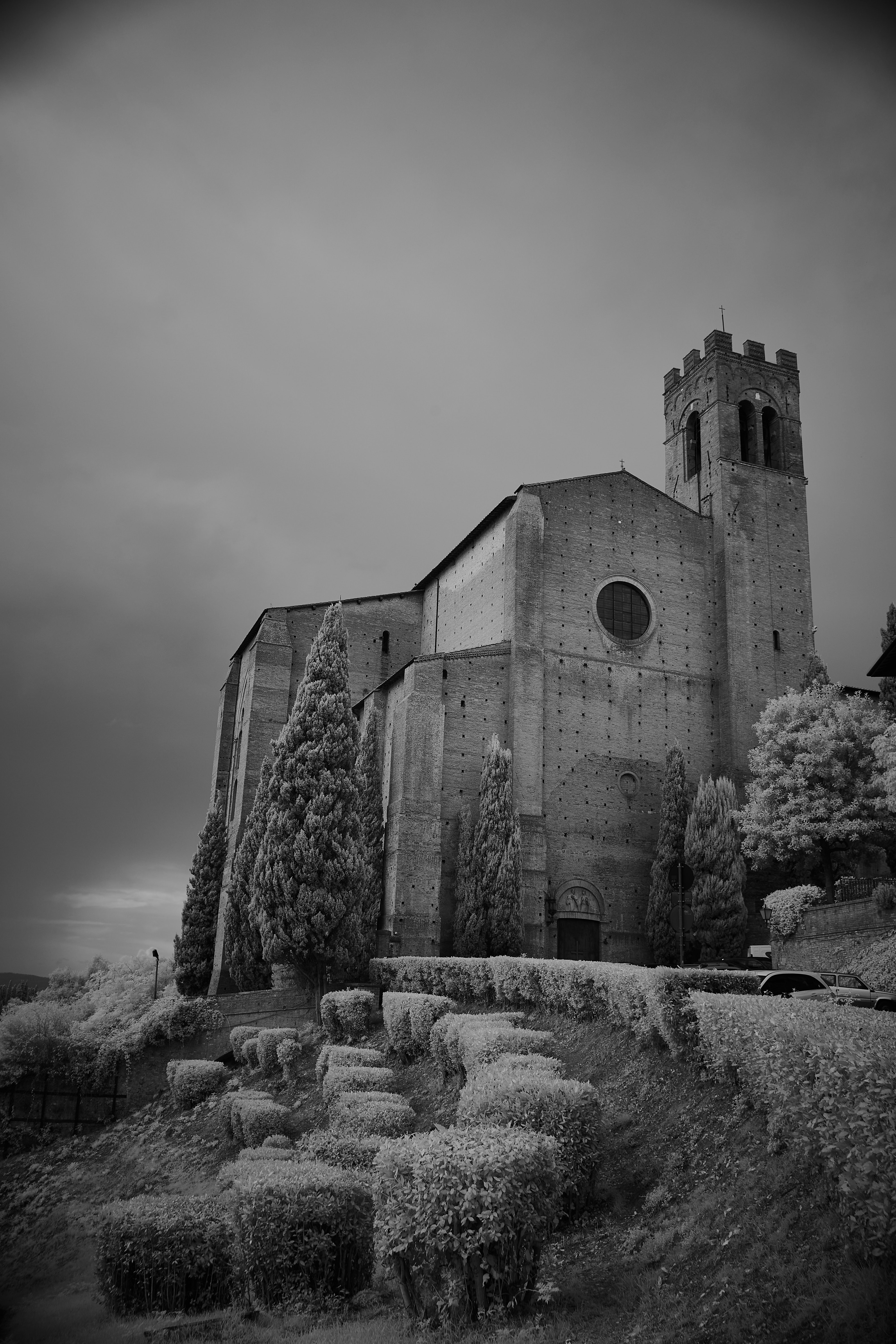 Photo by wolfgang_hasselmann