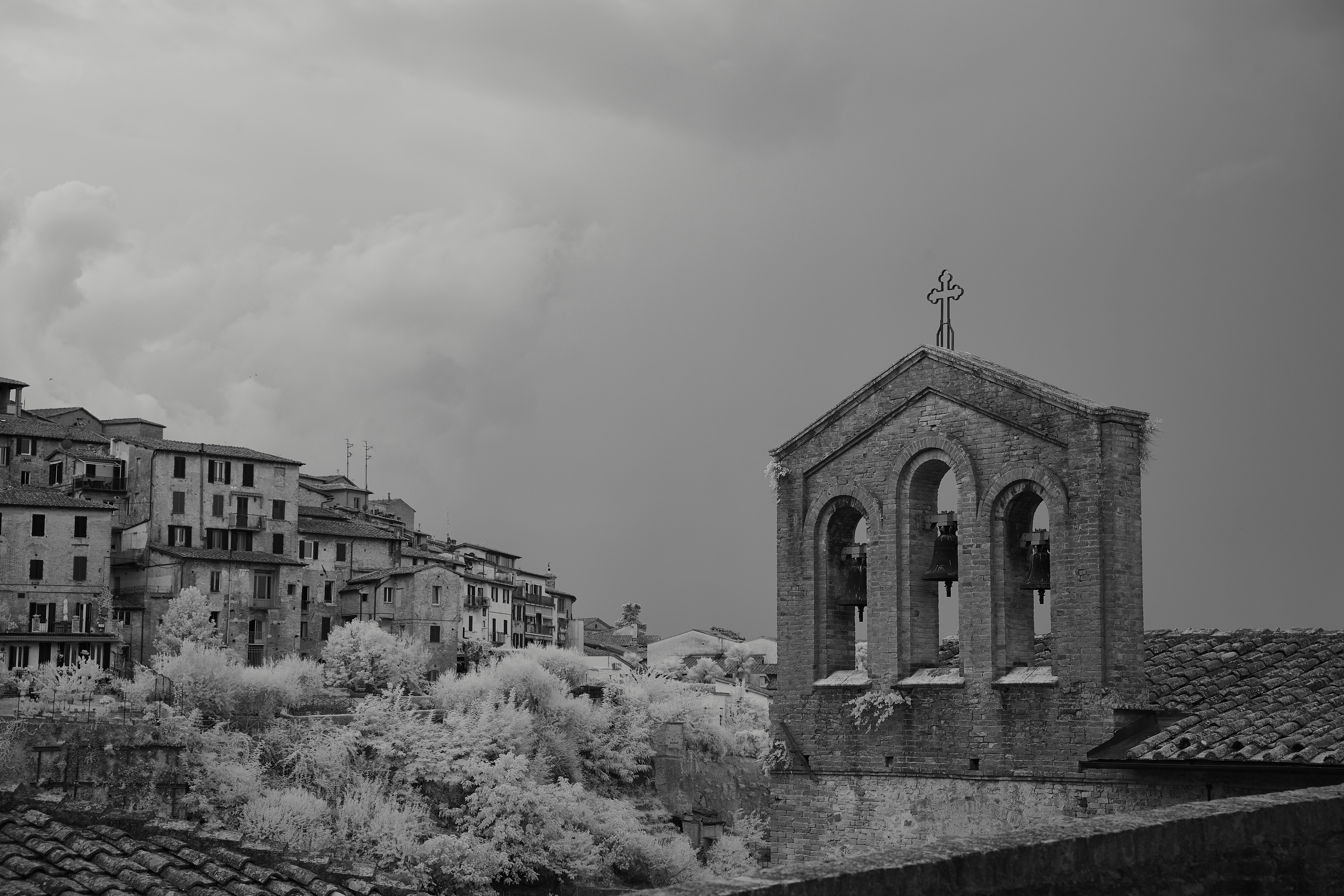 Photo by wolfgang_hasselmann