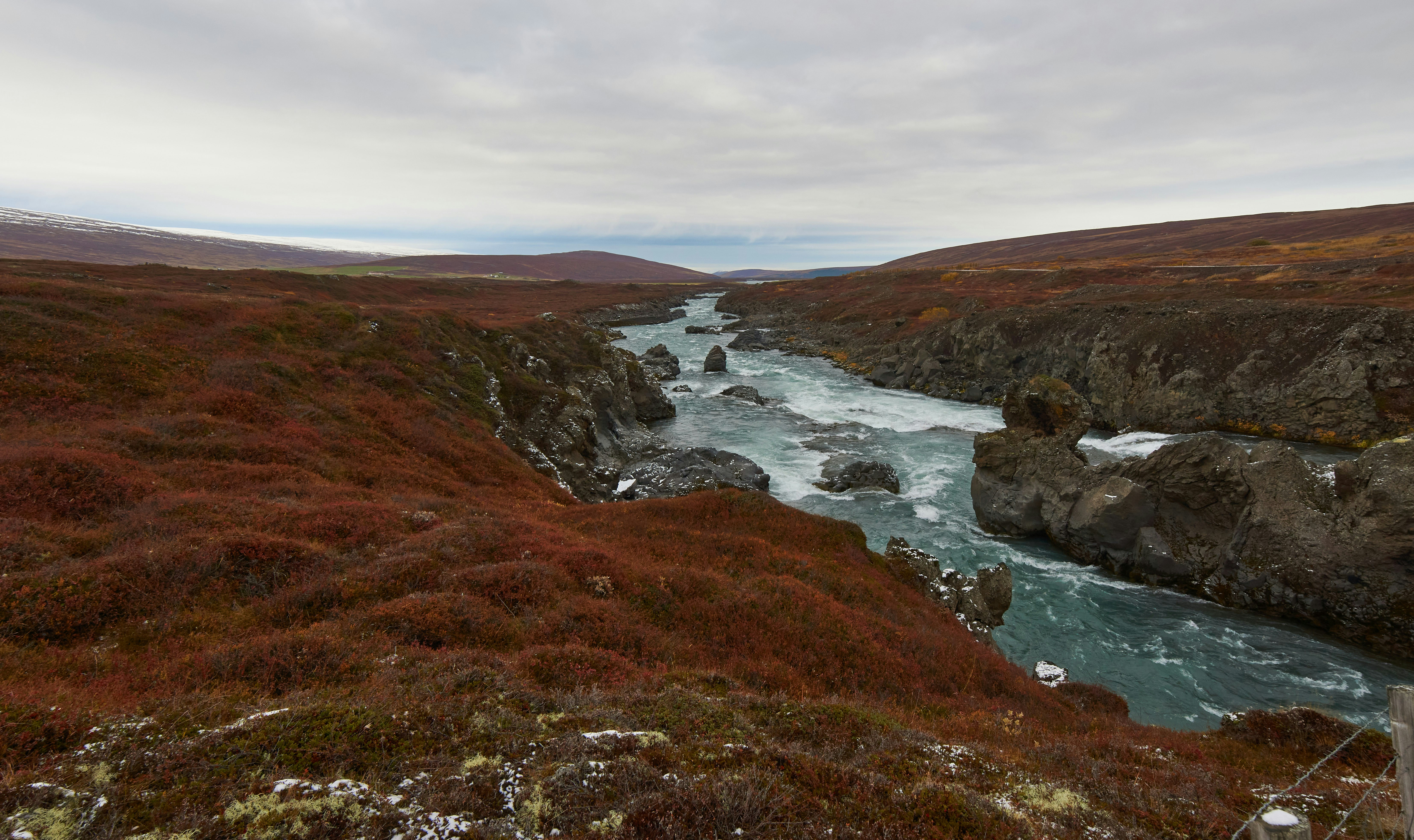 Photo by wolfgang_hasselmann