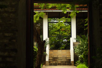 A serene view of the Natureleaf Wellness Center storefront with lush greenery surrounding the entrance.
